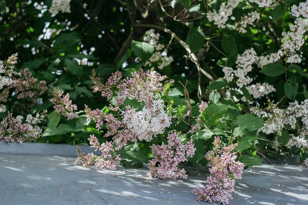 Créer un sanctuaire ludique et sécurisé pour vos tout-petits dans votre appartement : Guide complet